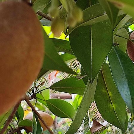 Vivaresidence Homestay Alappuzha Dış mekan fotoğraf