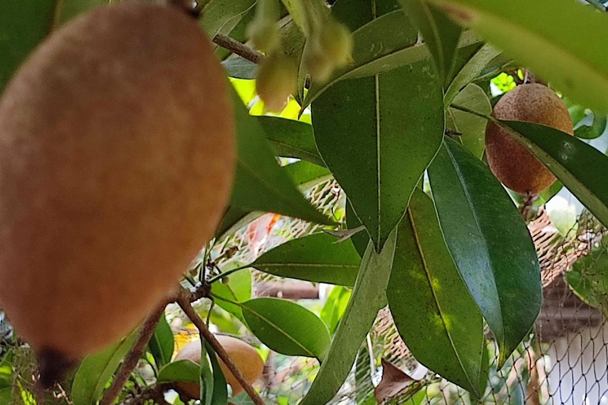 Vivaresidence Homestay Alappuzha Dış mekan fotoğraf